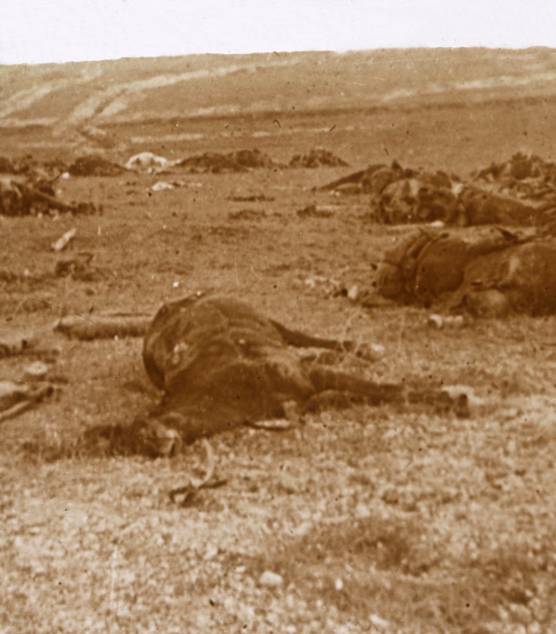 A vádemelés után Beauséjour, Észak-Franciaország, c1914-c1918 alkotó: Unbekannt