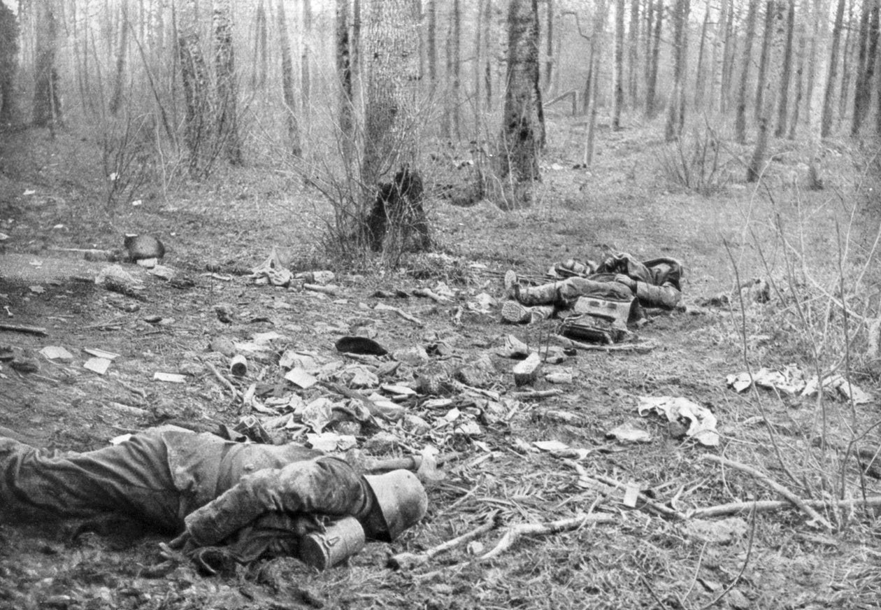 A harcok következményei a Plessis-de-Roye parkban, Picardy, Franciaország, 1918. március 30. alkotó: Unbekannt
