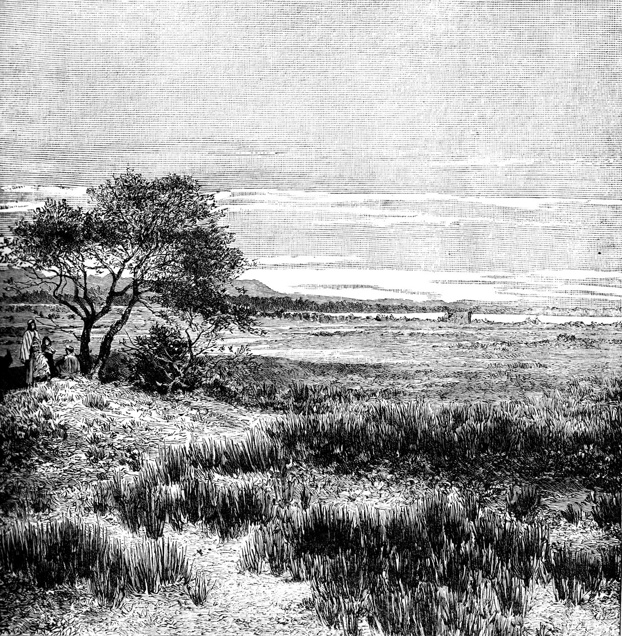 Agha-völgy, Közép-Pampa, Argentína, 1895 alkotó: Unbekannt