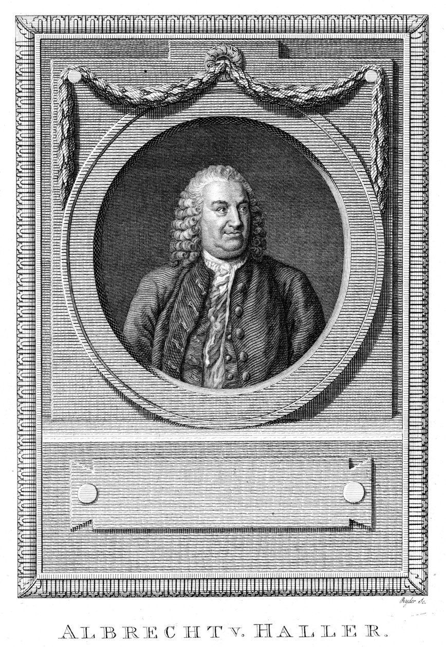 Albrecht von Haller, svájci orvos és tudós, 1770 c1780 alkotó: Unbekannt