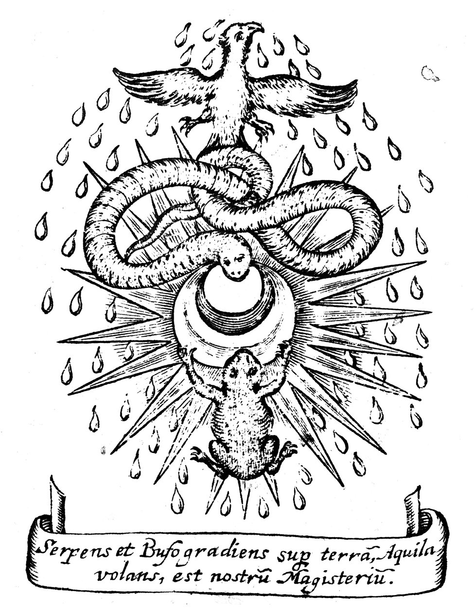 Alkímiai szimbolizmus, 1652 alkotó: Unbekannt
