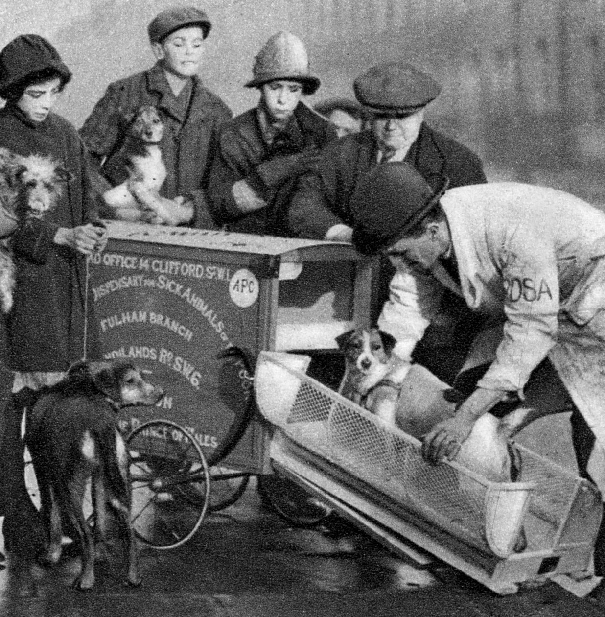 A szegények beteg állatainak gyógyszertárának ambulanciája, London, 1926-1927 alkotó: Unbekannt