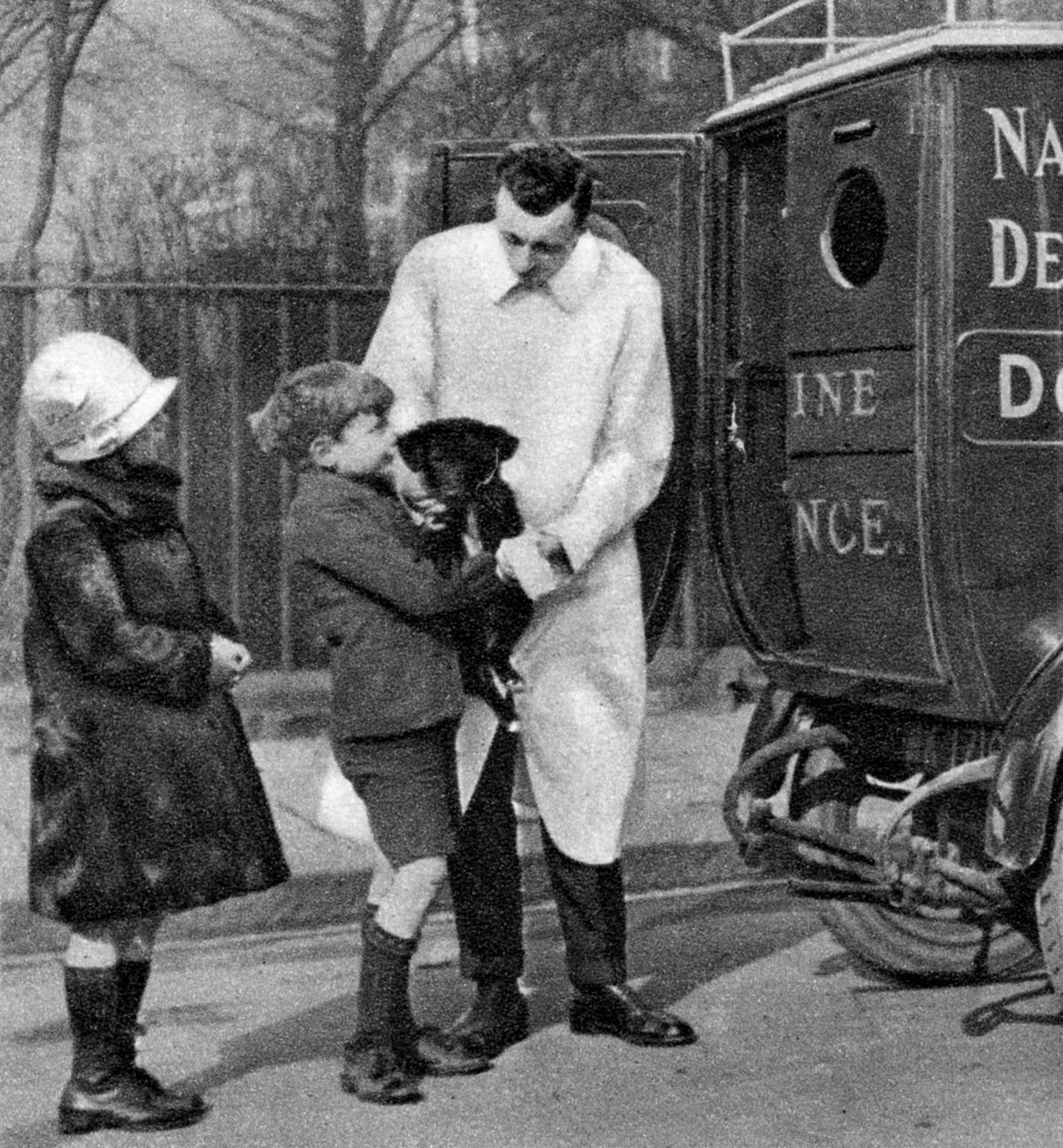 A National Canine Defense League mentőautója, London, 1926-1927 alkotó: Unbekannt