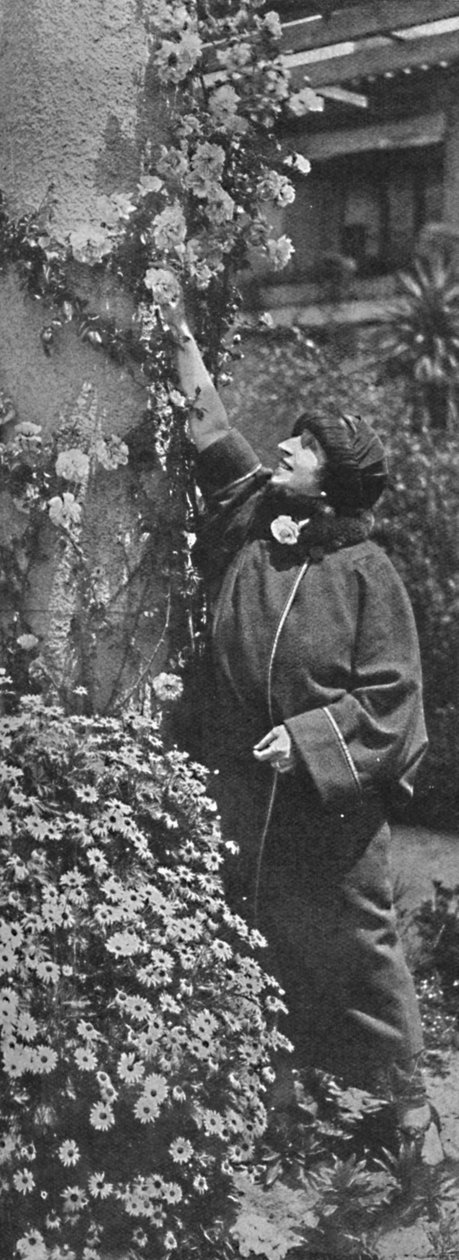 Amelita Galli-Curci - A nagy díva rózsákat, kedvenc virágait gyűjti, c1925 alkotó: Unbekannt