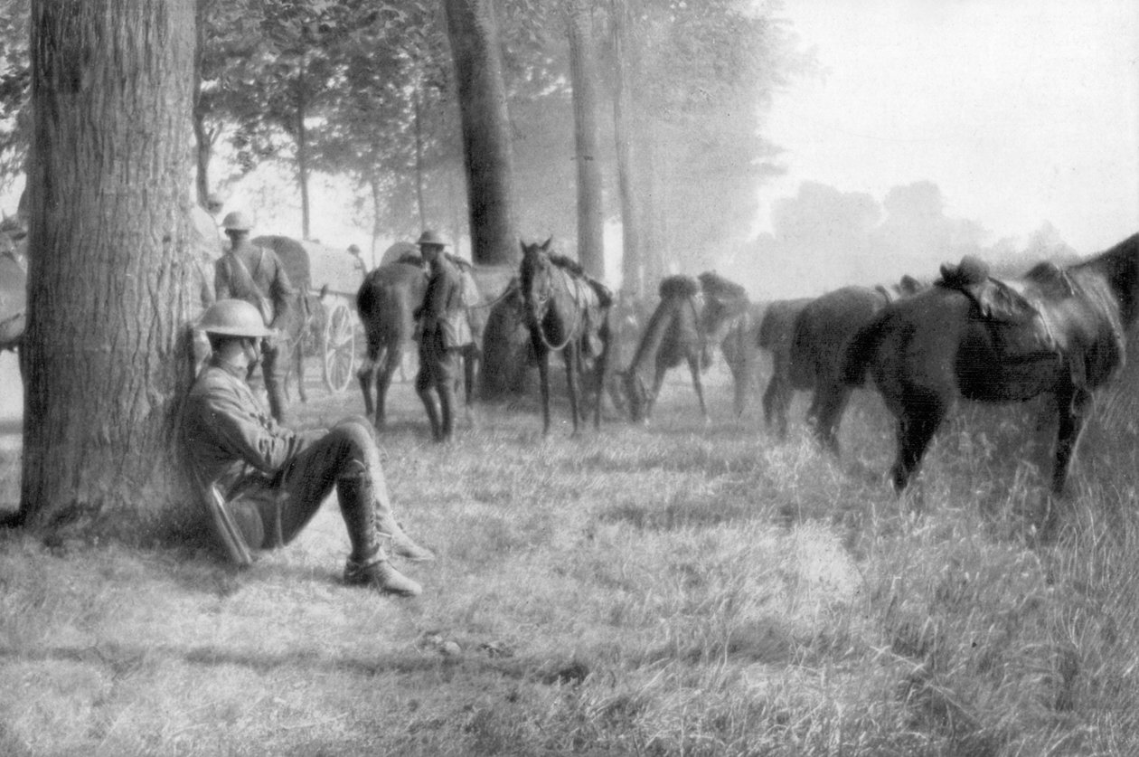 Amerikai lovassági egység nyugalomban, Chemin des Dames, Franciaország, 1918 alkotó: Unbekannt