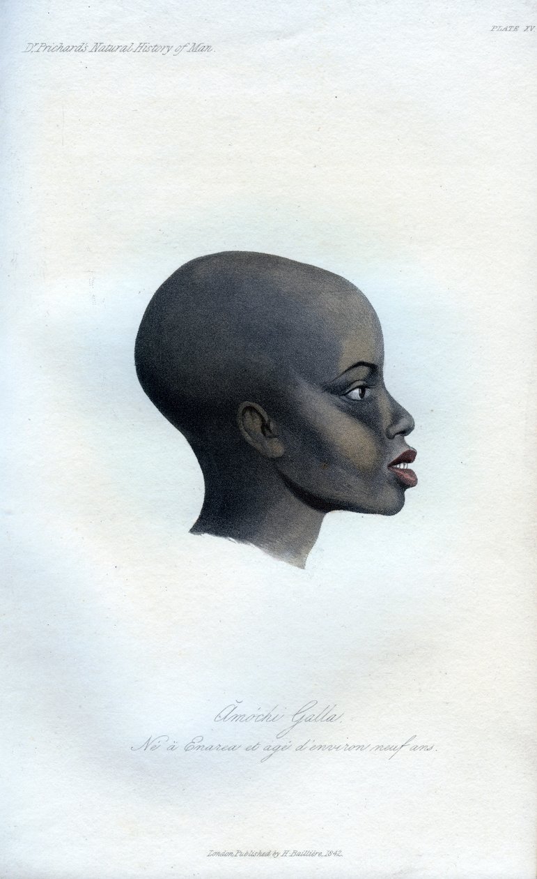 Amochi Galla, egy galla portréja, 1848 alkotó: Unbekannt
