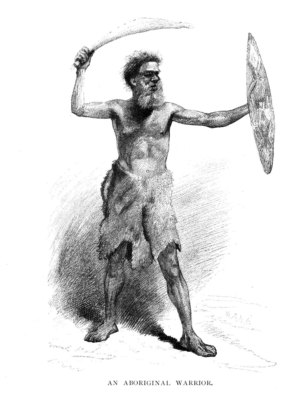 Egy őslakos harcos, 1886 alkotó: Unbekannt
