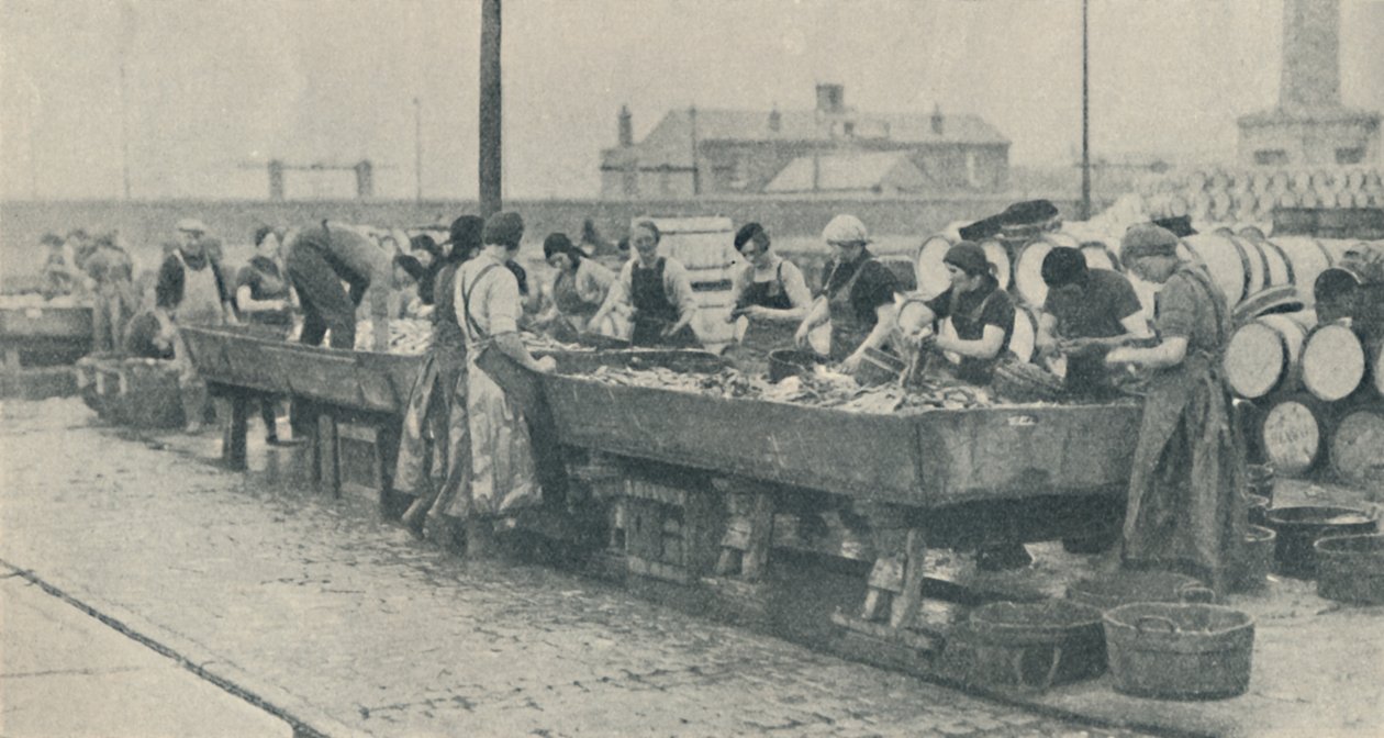 Az ipar fontos része. Skót lányok kibelezéssel foglalatoskodnak Yarmouthban, 1937 alkotó: Unbekannt