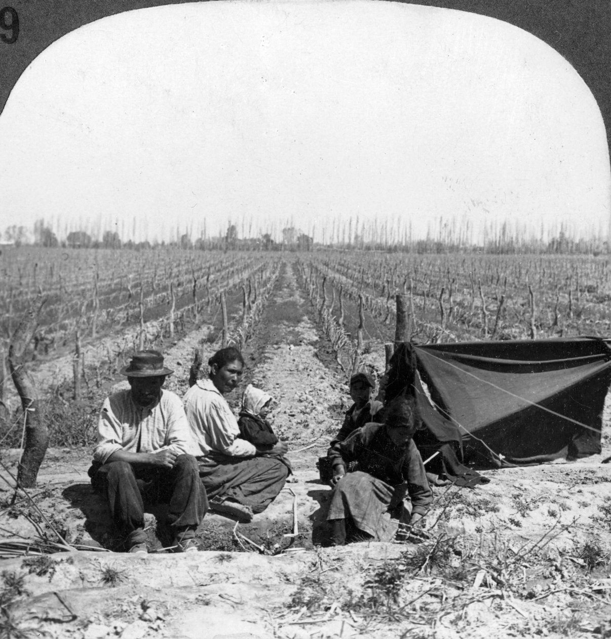 Olasz telepes és családja, Mendoza, Argentína, 1900-as évek alkotó: Unbekannt