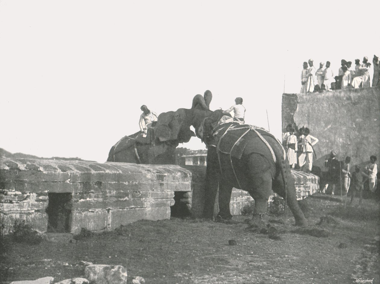 Elefántharc, Hyderabad, India, 1895. alkotó: Unbekannt