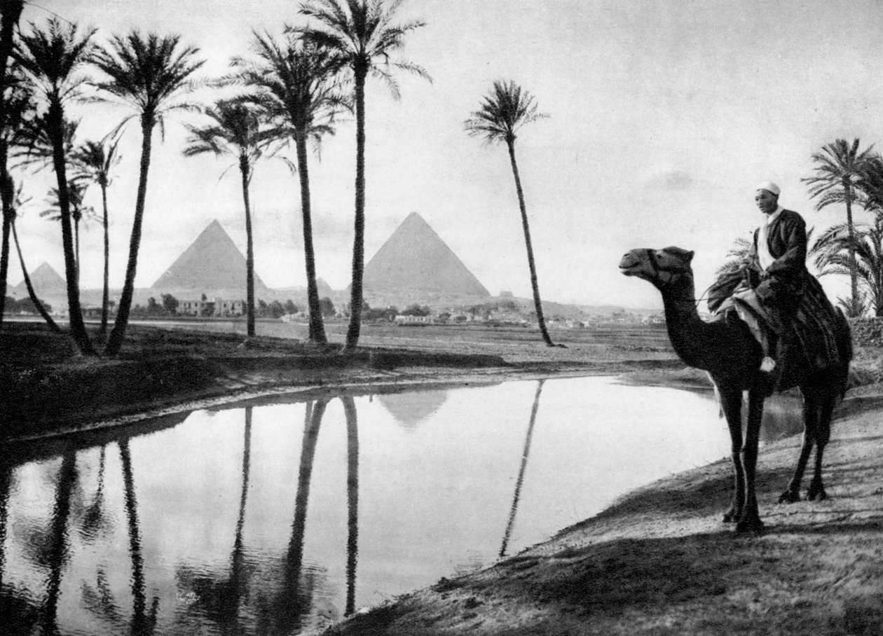 Egy oázis Kairó közelében, Egyiptom, az 1920-as években alkotó: Unbekannt