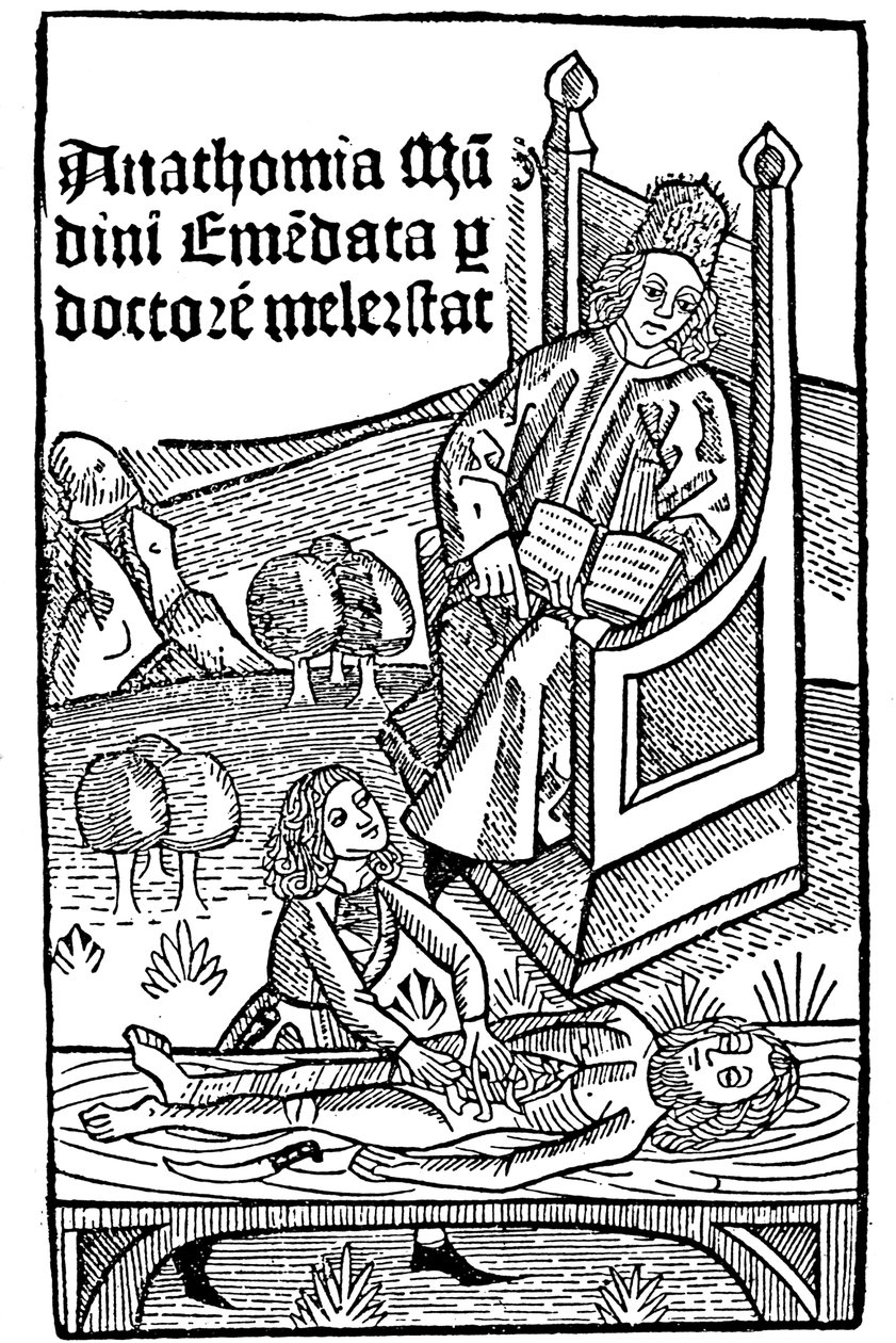 Anatómiai bemutató, 1493 alkotó: Unbekannt