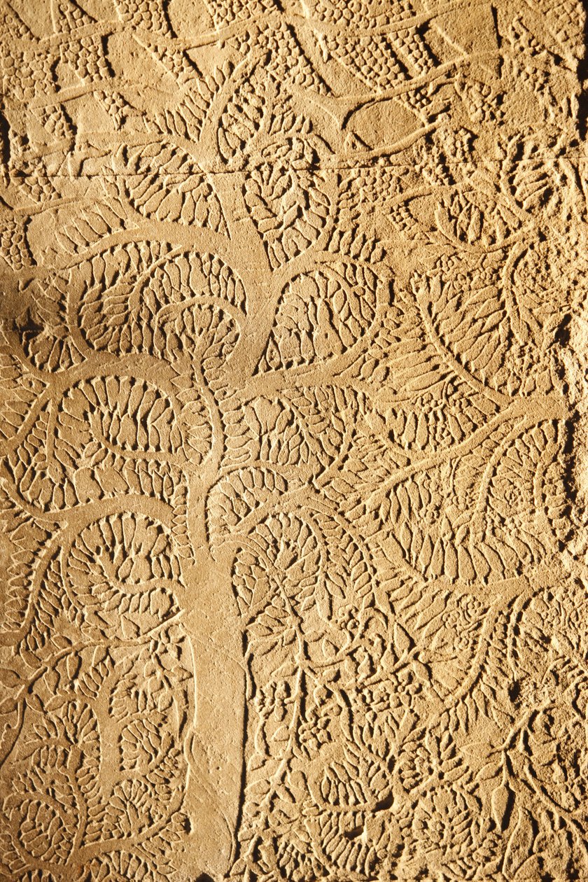 Angkor Wat, faragott részlet a WallTree-n, Siem Reap, Kambodzsa alkotó: Unbekannt