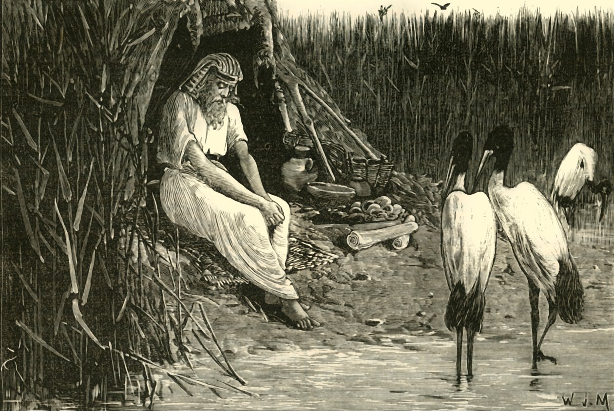 A delta mocsaraiban elrejtett Anysis, 1890. alkotó: Unbekannt