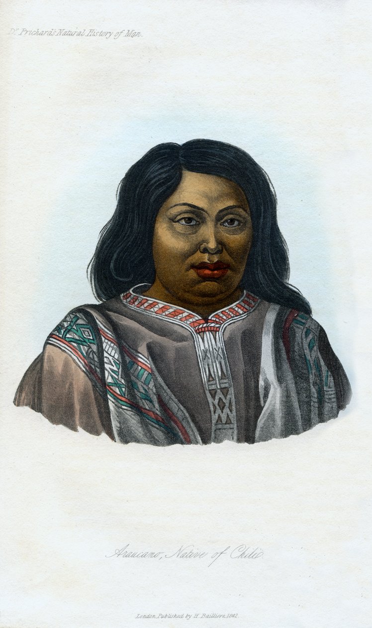 Araucano, Chiliben született, 1848 alkotó: Unbekannt