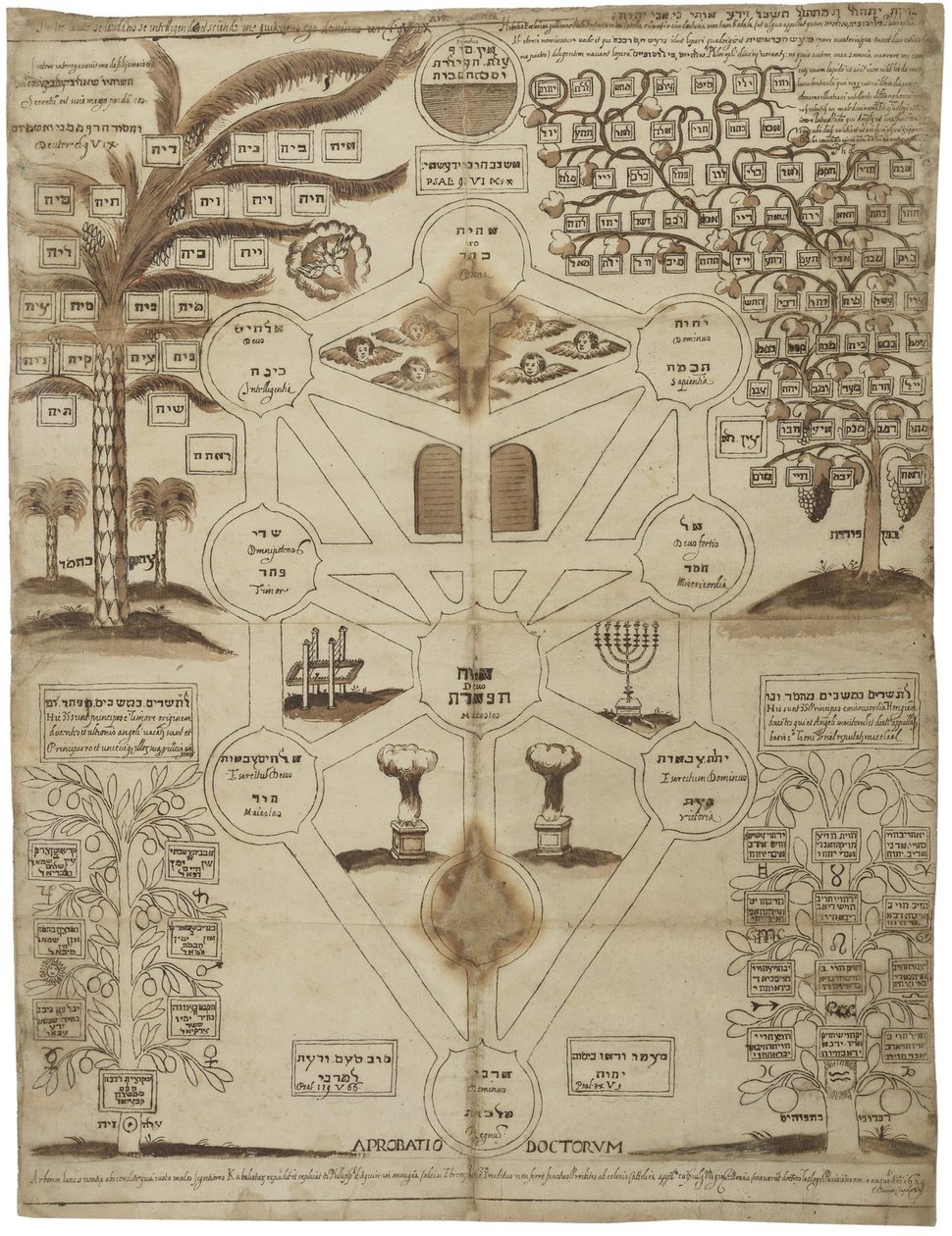 Arbor Cabalistica Kabbalistica Fa, 1625 körül alkotó: Unbekannt