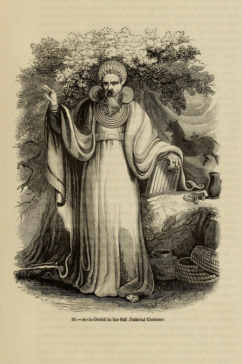 Arch-Druid teljes bírói jelmezében Az Old England: A Pitorial Museum, 1845 című könyvből alkotó: Unbekannt
