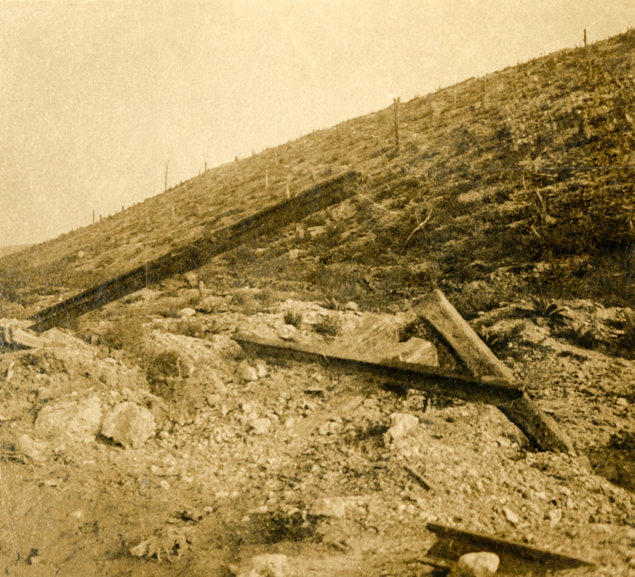 Az észak-franciaországi douaumonti erődöt körülvevő terület, 1914-c1918 alkotó: Unbekannt