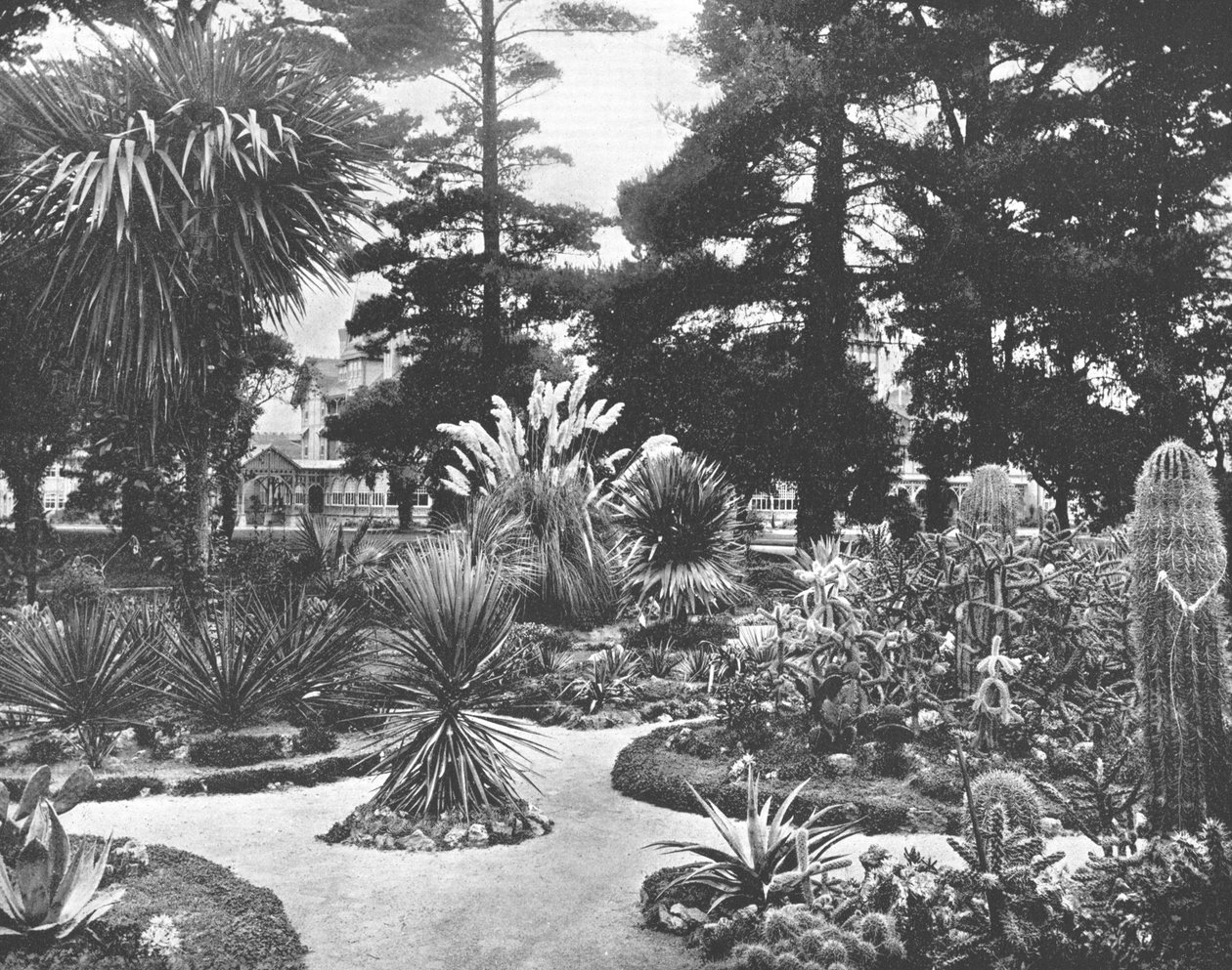 Arizona Garden, Monterey, California, USA, 1900. alkotó: Unbekannt