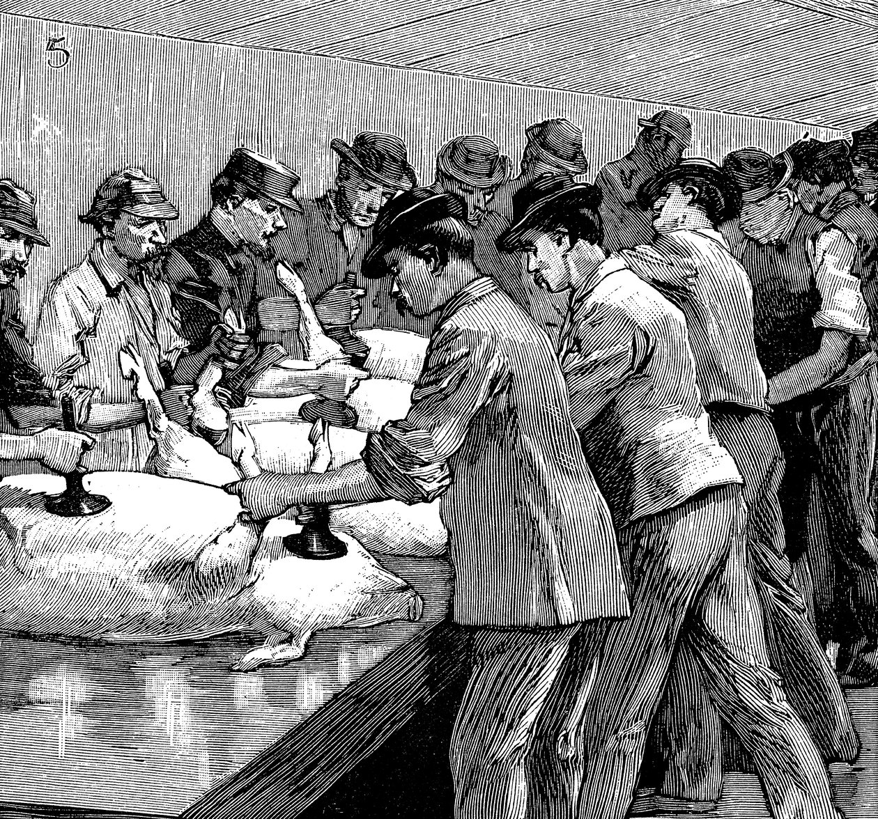Armor Companys sertésvágóhíd, Chicago, Illinois, USA, 1892 alkotó: Unbekannt