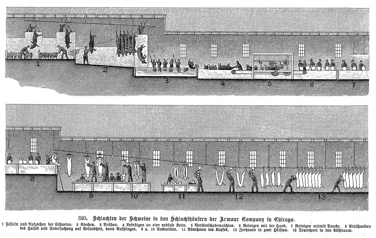 Armor Companys sertésvágóhíd, Chicago, Illinois, USA, 1895 alkotó: Unbekannt