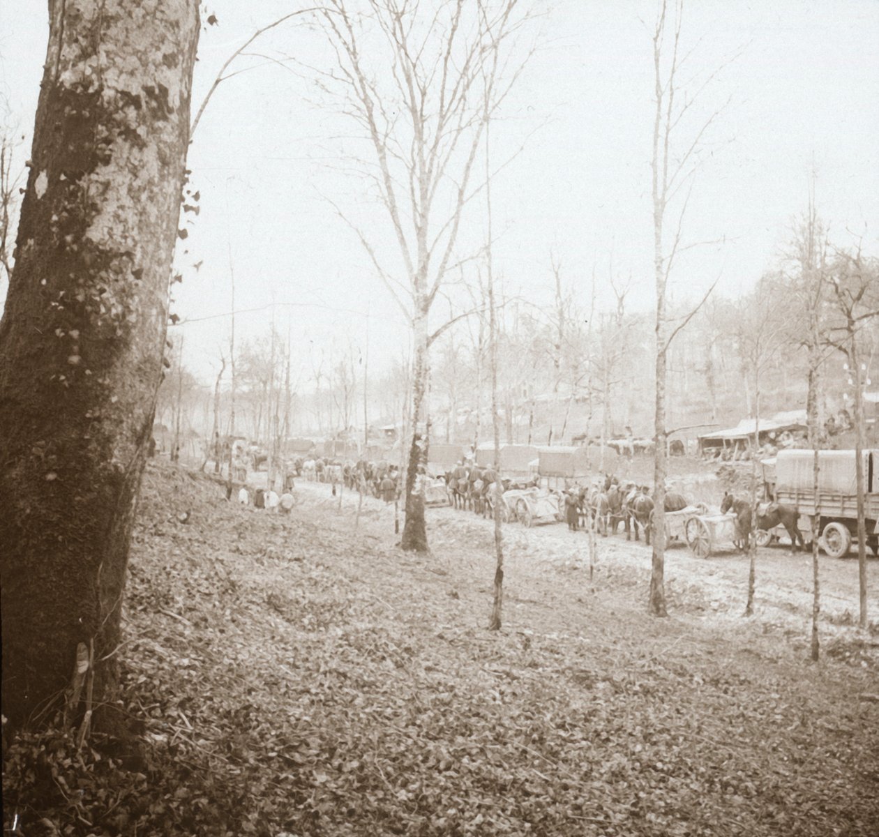 Tüzérség, Somme, Észak-Franciaország, 1914-c1918 alkotó: Unbekannt