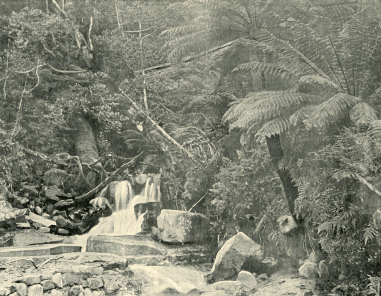 St. Crispins Wellben, 1901. alkotó: Unbekannt