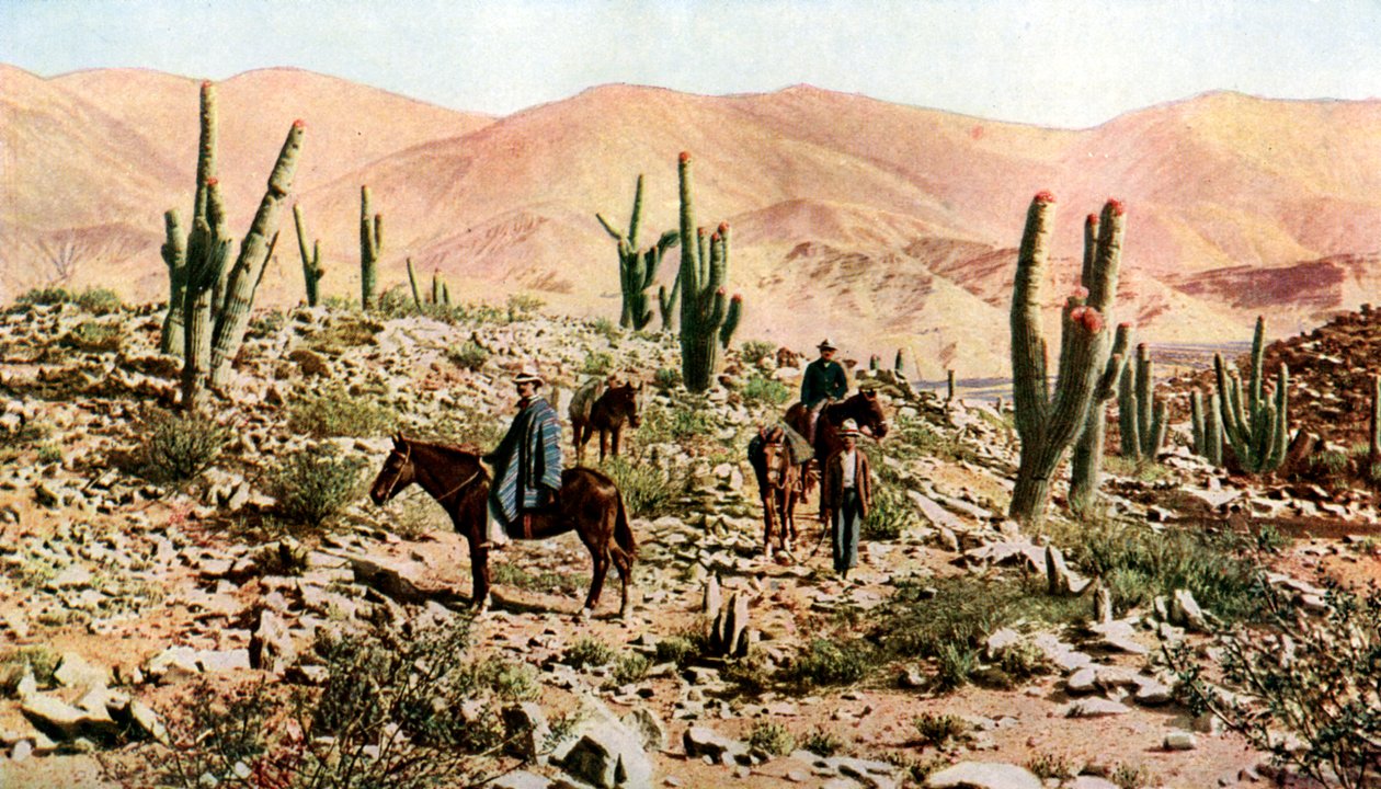 Atacama-sivatag, Észak-Chile, Dél-Amerika, 1923 alkotó: Unbekannt