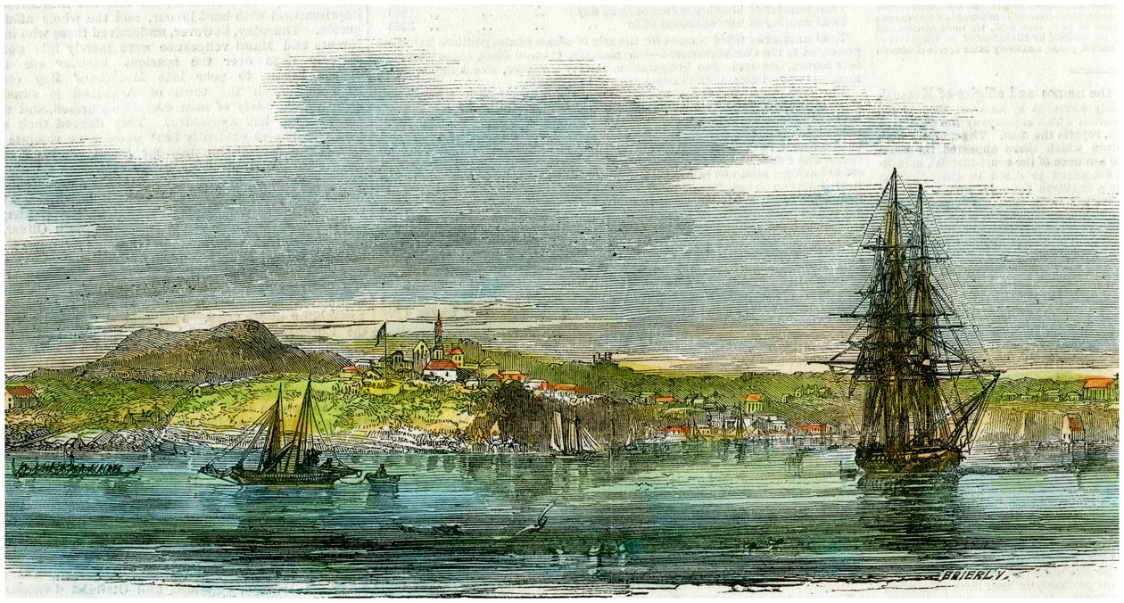 Auckland, Új-Zéland, 1880 alkotó: Unbekannt