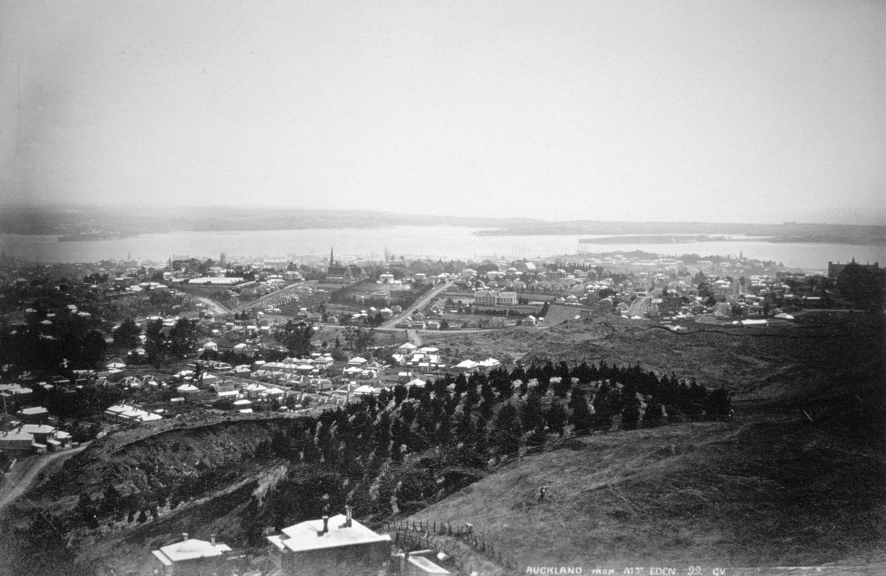 Auckland az új-zélandi Mt Edenből, 1899 alkotó: Unbekannt