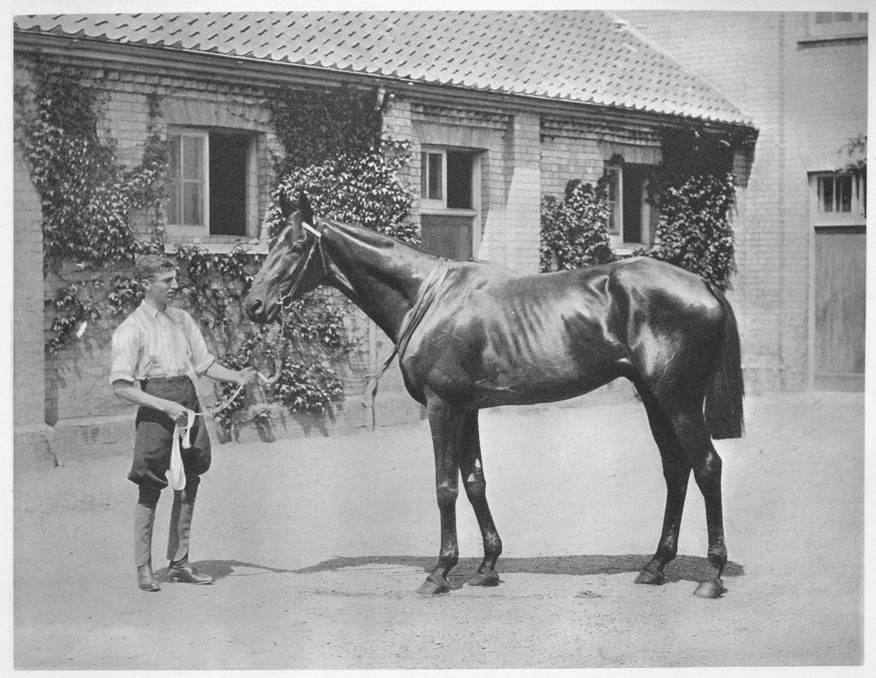 Ausztrál csillag, 1911 alkotó: Unbekannt