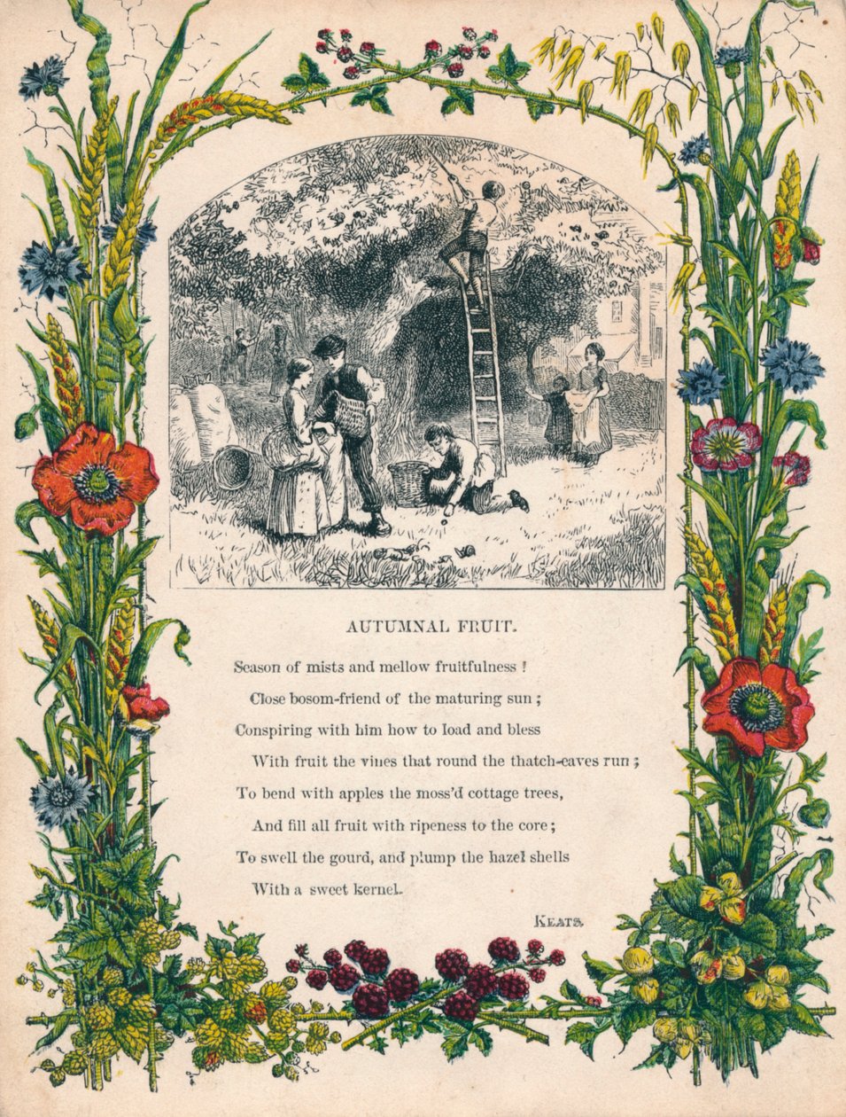 Autumnal Fruit, Keats, c1900 alkotó: Unbekannt