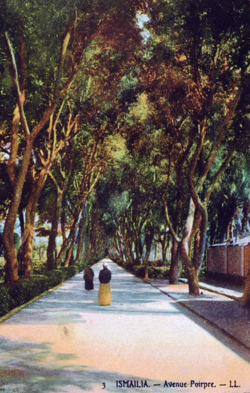 Avenue Poirpre, Ismailia, Egyiptom, c1900 alkotó: Unbekannt