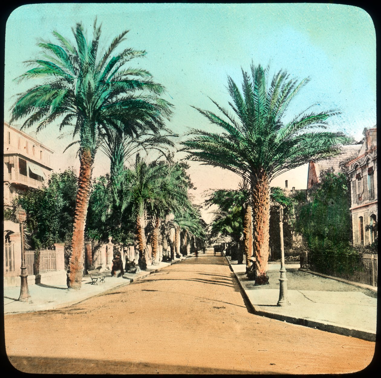 Avenue of Palms, Hyeres, Franciaország, 19. század vége vagy 20. század eleje alkotó: Unbekannt
