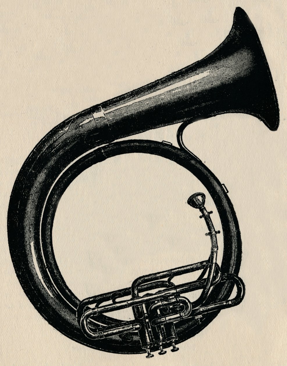 BB körbőgő, 1910. alkotó: Unbekannt