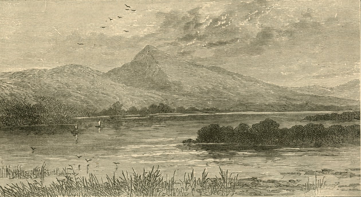Nélküled, 1898. alkotó: Unbekannt