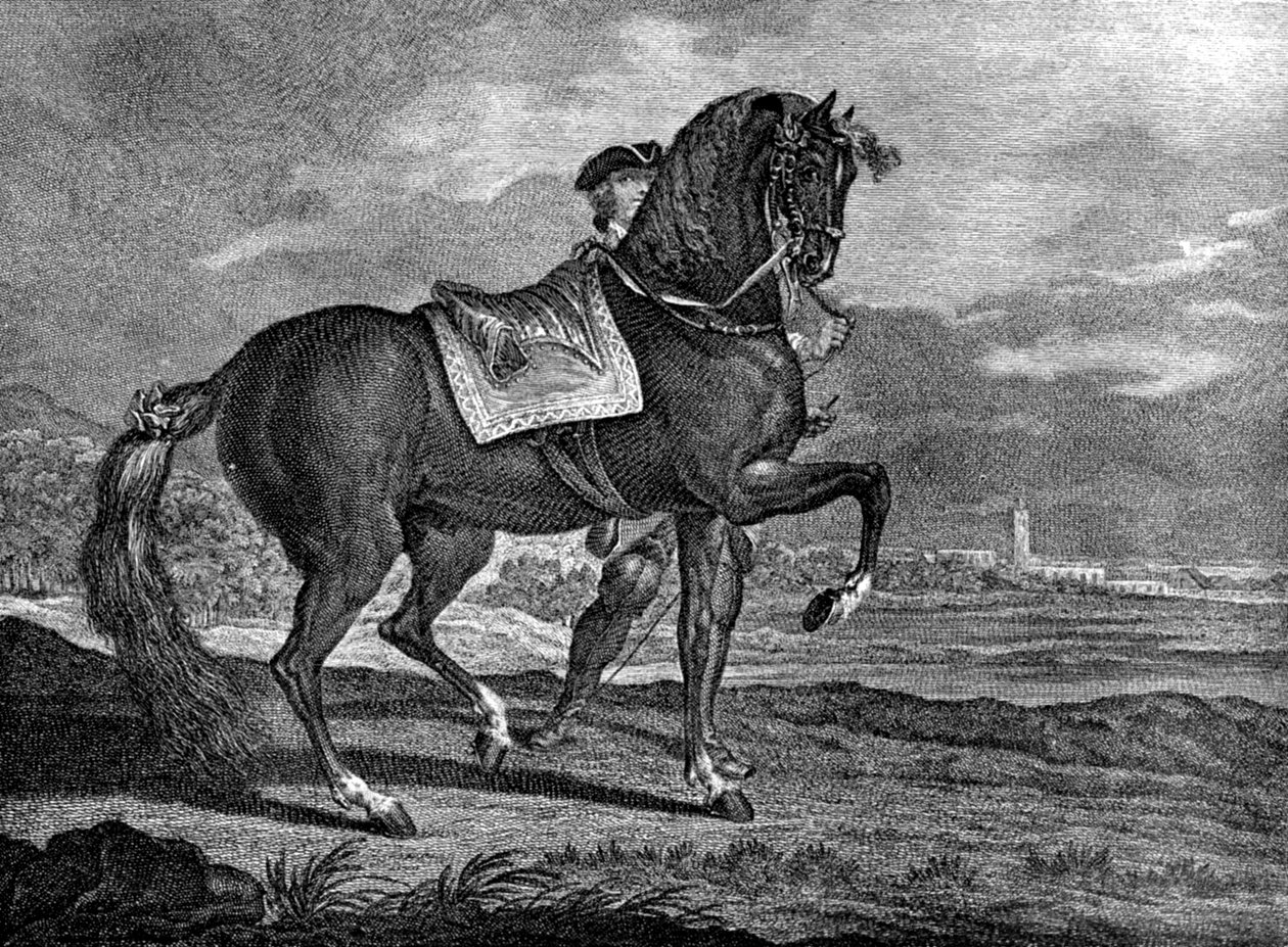 Barb, 1722, 1938 alkotó: Unbekannt