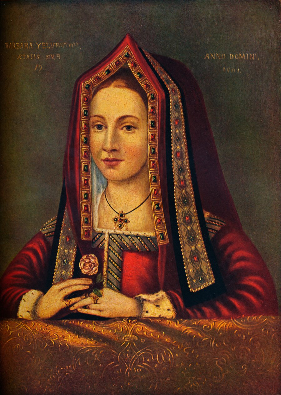 Barbara Velverton, 1501, 1911 alkotó: Unbekannt