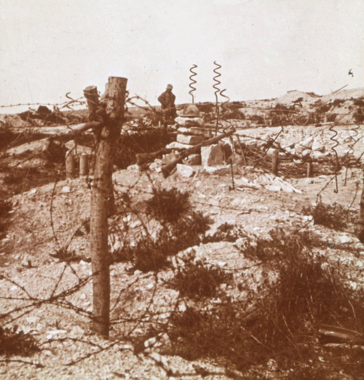 Szögesdrót, Craonne, Észak-Franciaország, c1914-c1918 alkotó: Unbekannt
