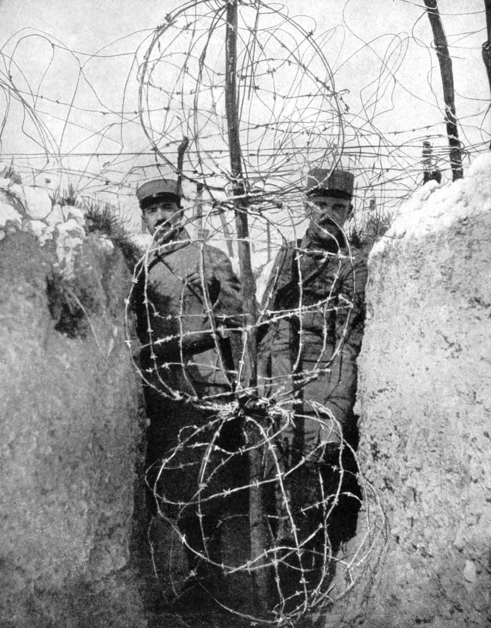 Szögesdrót egy francia árkot körülölelő, I. világháború, 1915 alkotó: Unbekannt