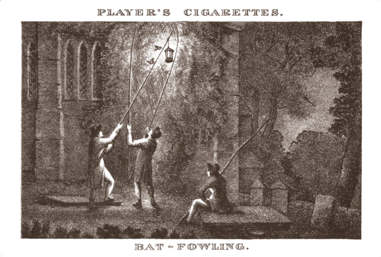 Bat-Fowling, 1924. alkotó: Unbekannt