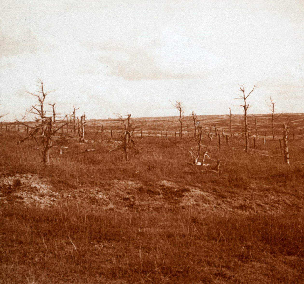 Battlefield, Tahure, Észak-Franciaország, 1914-c1918 alkotó: Unbekannt