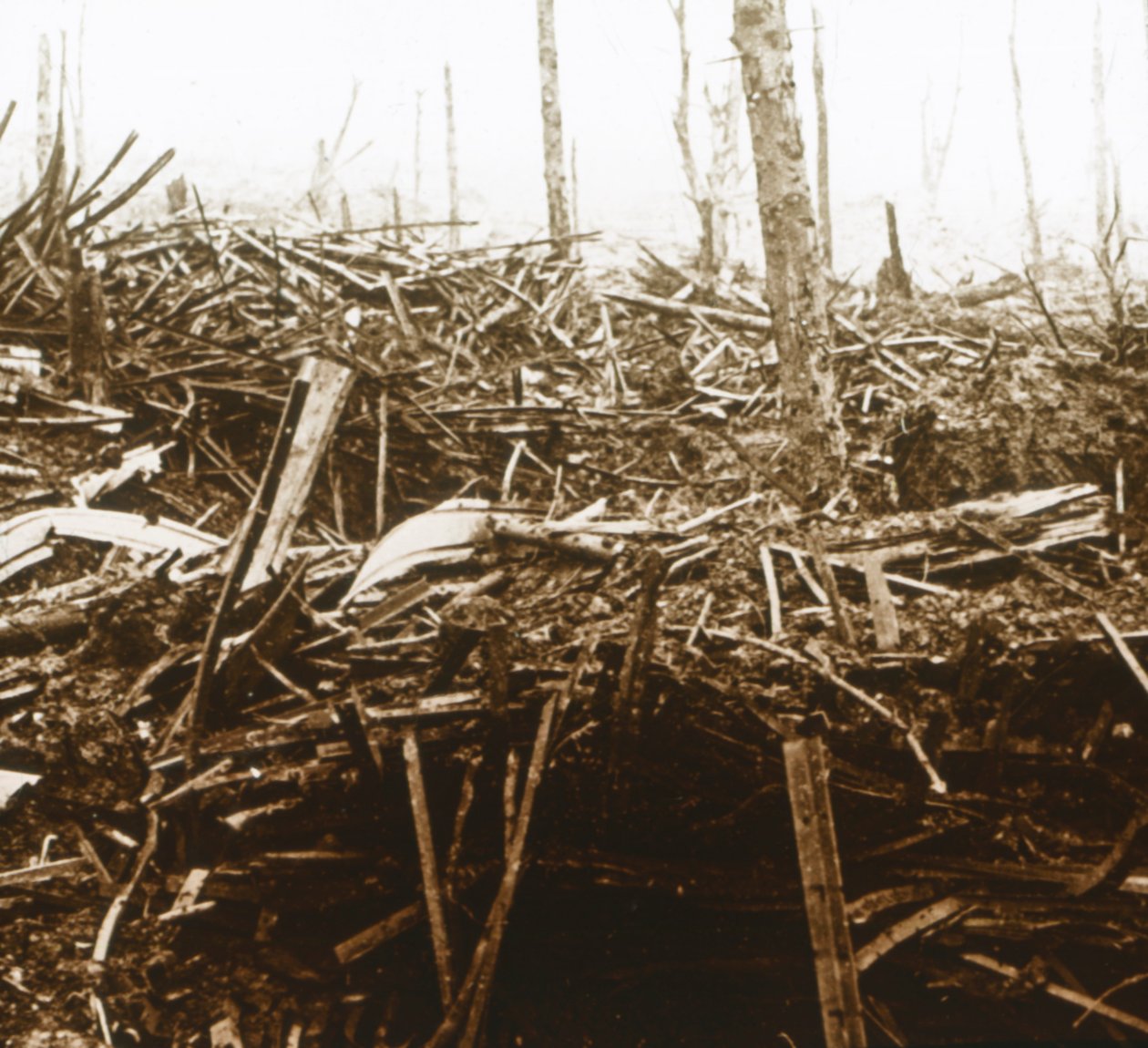 Battlefield, c1914-c1918 alkotó: Unbekannt