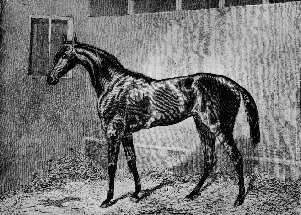 Beadsman, 1855-1872, 1911 alkotó: Unbekannt