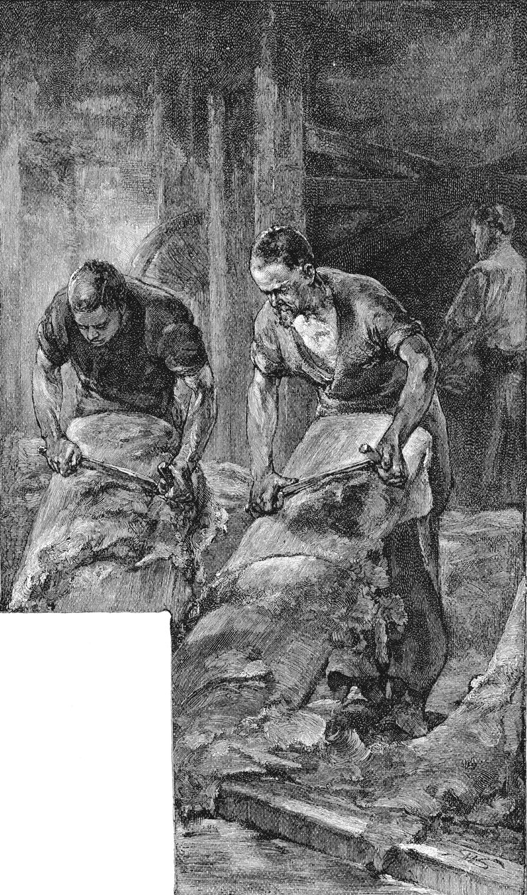 Sugárzó bőrök cipőbőr gyártásához, 1885 alkotó: Unbekannt