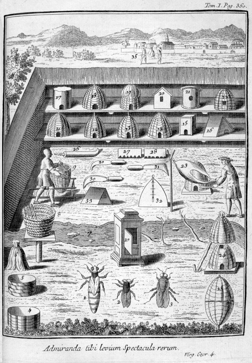 Méhészet, 1775 alkotó: Unbekannt