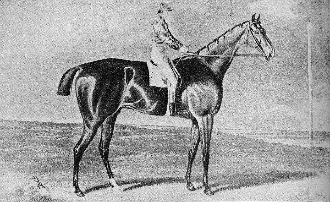 Blacklock, 1814-1831, 1911 alkotó: Unbekannt