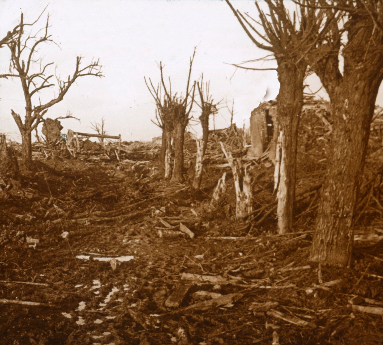 Robbantott táj, Belloy-en-Santerre, Észak-Franciaország, c1914-c1918 alkotó: Unbekannt