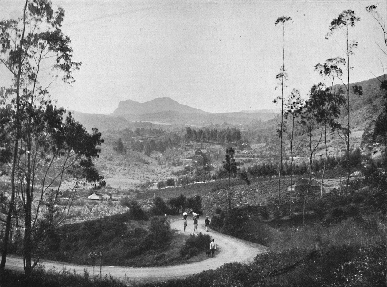 Kilátás a Ramboda-hágóról délkeletre, Nuwara Eliya és Hakgalla-szikla felé, 1926 alkotó: Unbekannt
