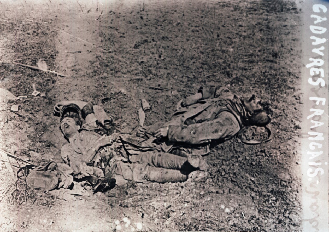 Elhunyt francia katonák holttestei, c1914-c1918 alkotó: Unbekannt